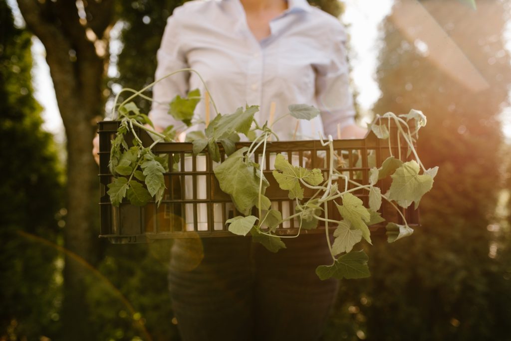 7 Must Haves For Your Eco Friendly Home 7 Must Haves For Your Eco Friendly Home